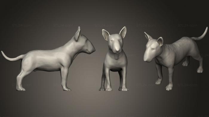Статуэтки животных (Бультерьер, STKJ_0784) 3D модель для ЧПУ станка